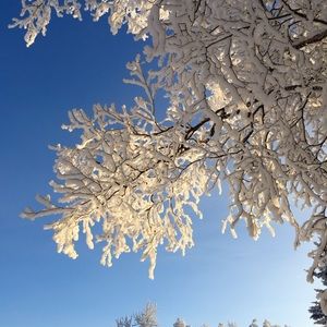 Meet your Posher, Leanne