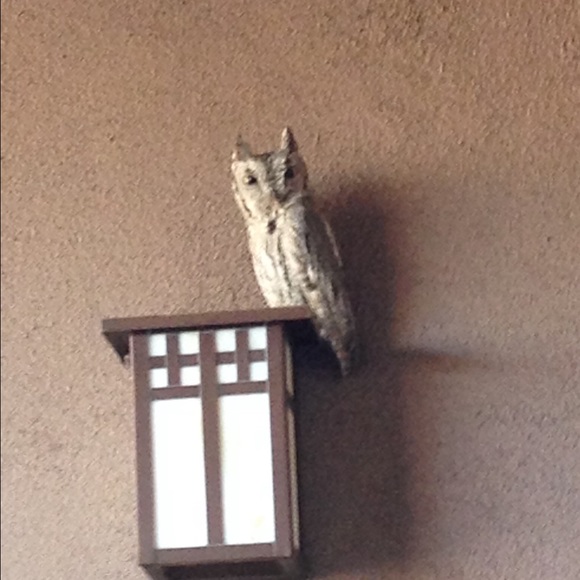 Meet your Posher, Jaylin