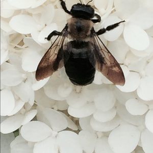 Meet your Posher, Cristy