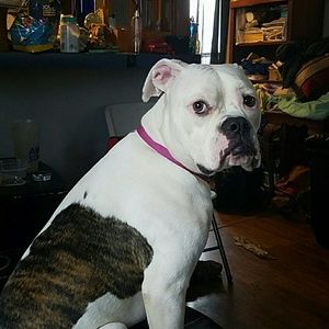 Meet your Posher, Kelly