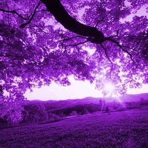 Meet your Posher, Tonya