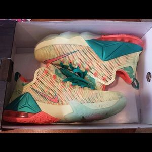 Lebron 12