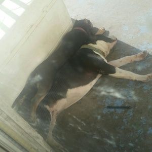 Meet your Posher, Marva