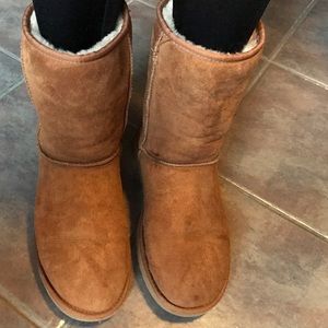 Short Chestnut Uggs