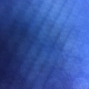 Meet your Posher, Elise