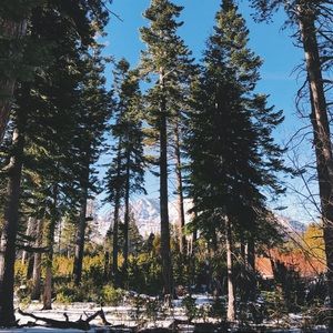 Meet your Posher, Madeline