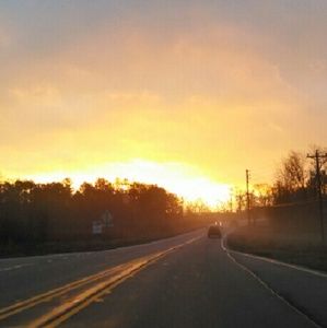 Meet your Posher, Dianne