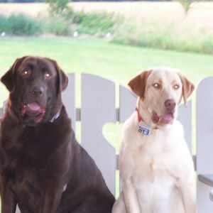 Meet your Posher, Tracy oldenkamp