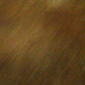 Meet your Posher, Mayra