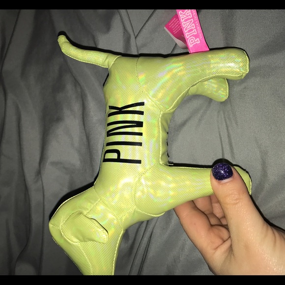 Vspink dog