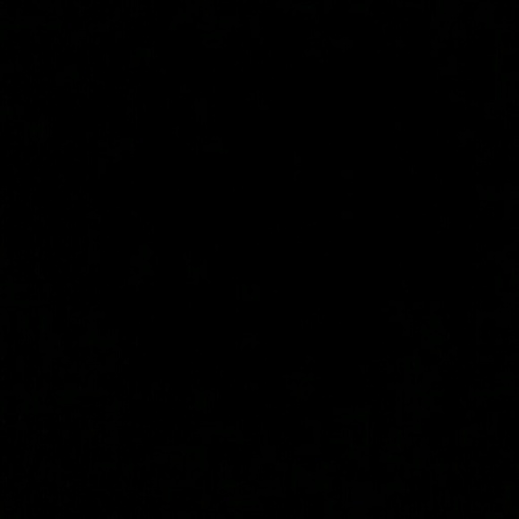 Meet your Posher, Michael - Picture 1 of 1