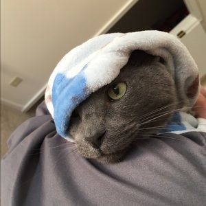 Meet your Posher, Hope