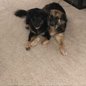 Meet your Posher, Brooke