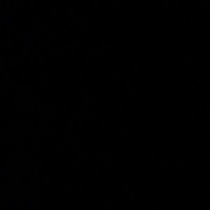 Meet your Posher, Willis