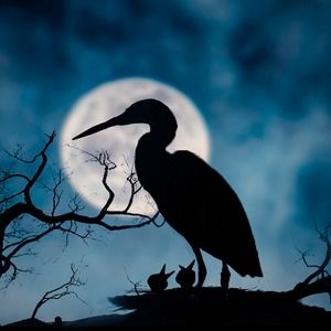 Meet your Posher, Eddy