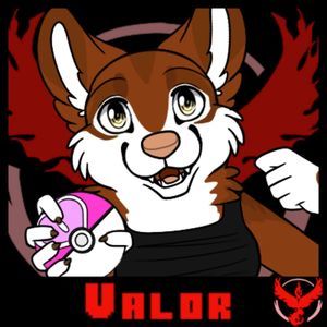 Meet your Posher, Harley