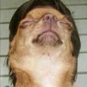 Meet your Posher, Betsy