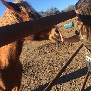 Meet your Posher, Sophia