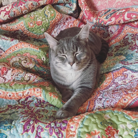 Meet your Posher, Shannon - Picture 6 of 8