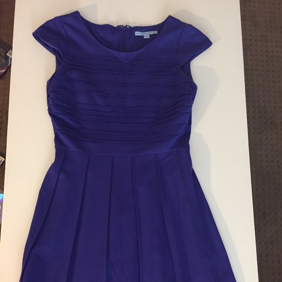 Purple Pleated Skirt Swing Dress