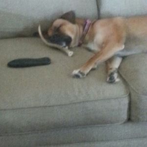 Meet your Posher, Kaitlyn