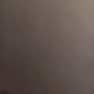 Meet your Posher, Willie