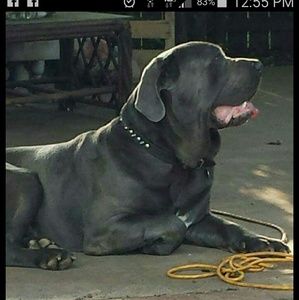 Meet your Posher, Kawanis