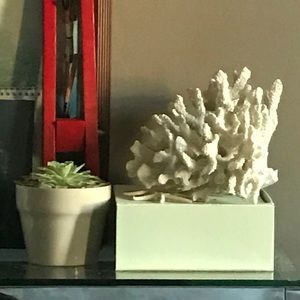 Meet your Posher, Teresa