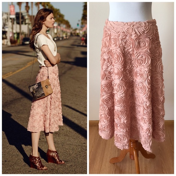 HD In Paris Dresses & Skirts - Anthropologie Petaluma Midi Skirt