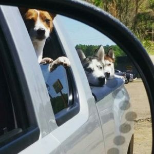 Meet your Posher, Blaire