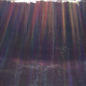 Meet your Posher, Raven