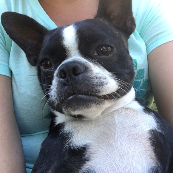 Meet your Posher, Shannon - Picture 3 of 3