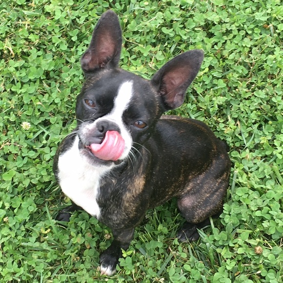 Meet your Posher, Shannon - Picture 2 of 3