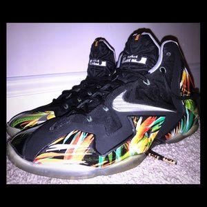 LeBron Everglades Size 11