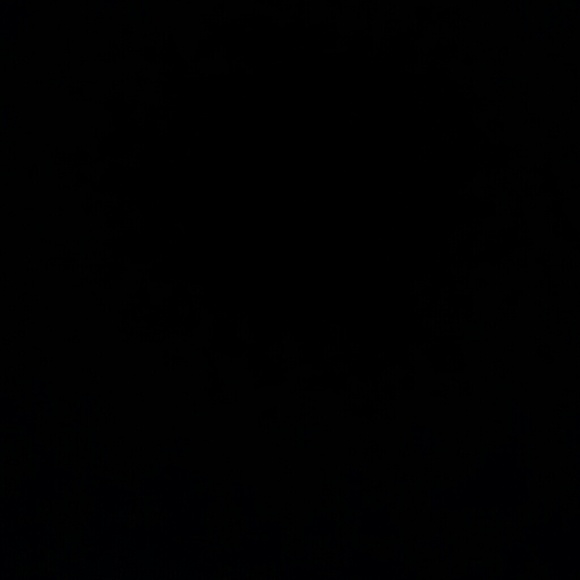 Meet your Posher, Melissa - Picture 1 of 1