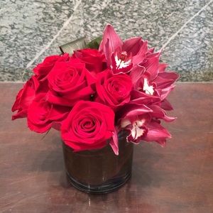 Meet your Posher, Rose-ann