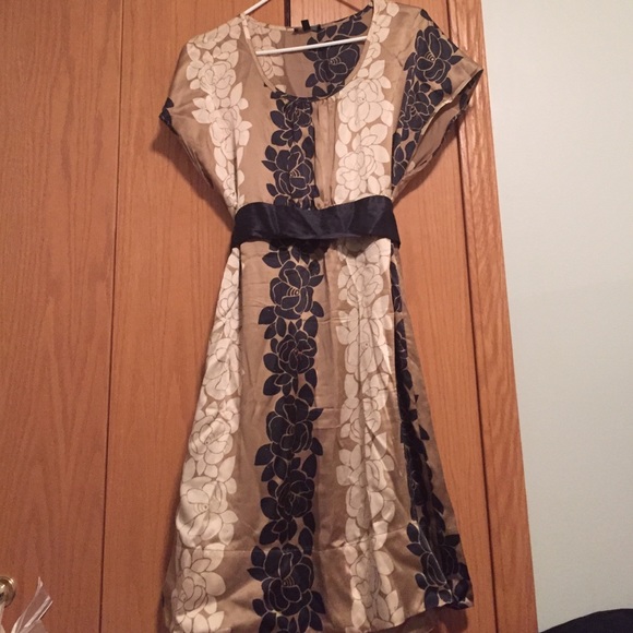 The Limited Dresses & Skirts - 100% silk Limited dress