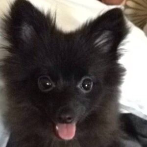 Meet your Posher, Tami