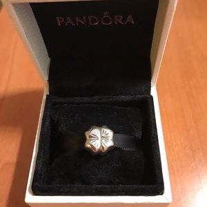 Pandora Charm