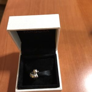 Pandora Charm