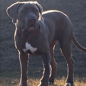 Meet your Posher, Mike