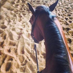 Meet your Posher, Alaina