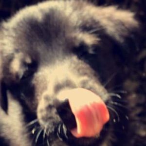 Meet your Posher, Georgia