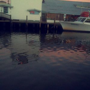 Meet your Posher, Kennady