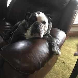 Meet your Posher, Tracy