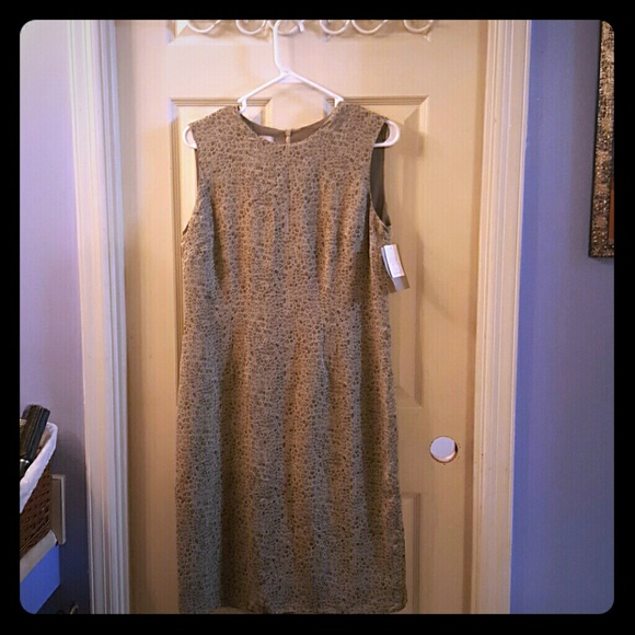 Silk neutral dress
