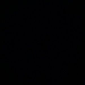 Meet your Posher, Genise