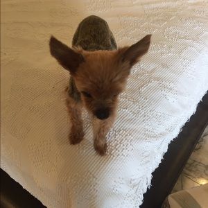 Meet your Posher, Omar