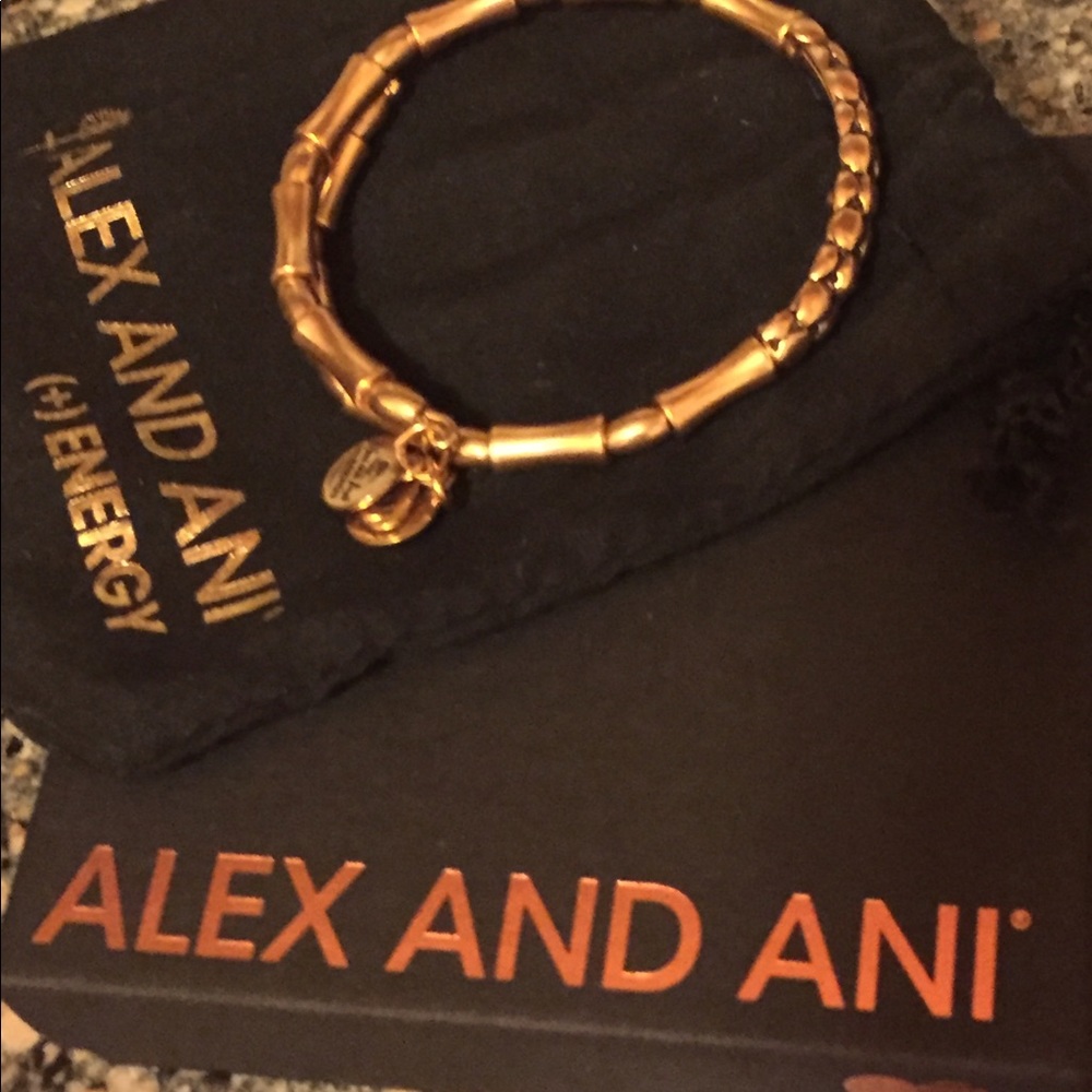 Alex & Ani gold tone bracelet