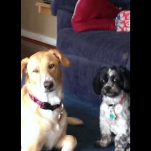 Meet your Posher, Michele